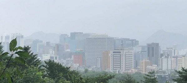 서울의 빌딩
