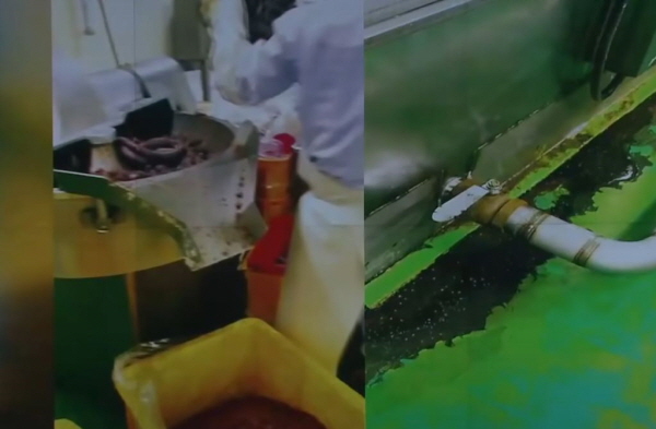 KBS가 2일 보도한 충북의 한 식품업체 내부. ⓒ KBS유투브 캡처