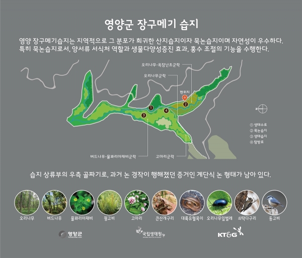 경북 영양군 ‘장구메기 습지’ 안내판 © KT&G