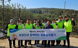 농협중앙회, 경기도 파주 과수 농가서 ‘농촌일손돕기’ 실시